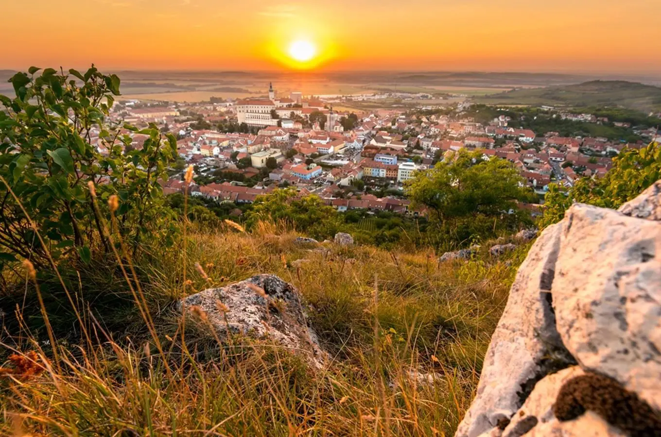 Mikulov obklopený vinicemi